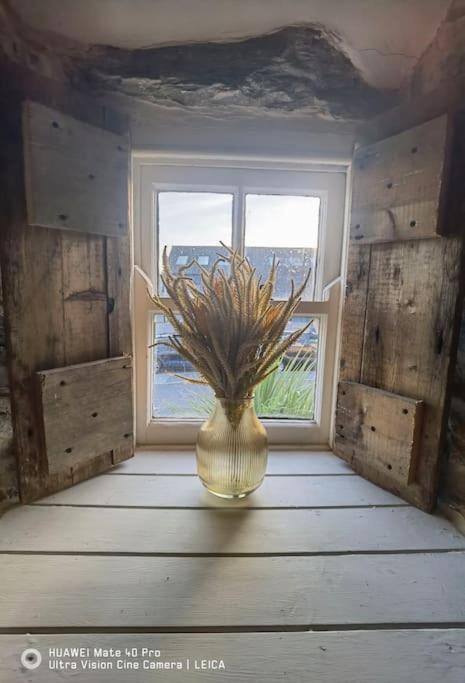 Brynglas Cottage With Hot Tub, Anglesey. Llanfachraeth Εξωτερικό φωτογραφία